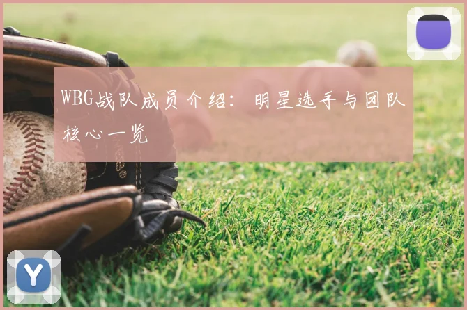 WBG战队成员介绍：明星选手与团队核心一览