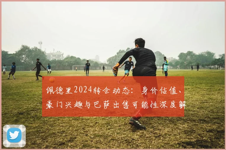 佩德里2024转会动态：身价估值、豪门兴趣与巴萨出售可能性深度解析