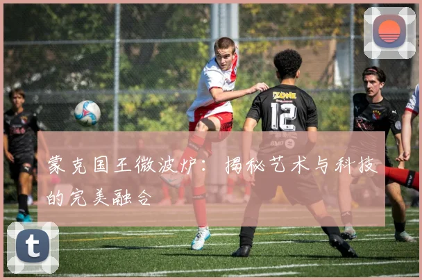 蒙克国王微波炉：揭秘艺术与科技的完美融合